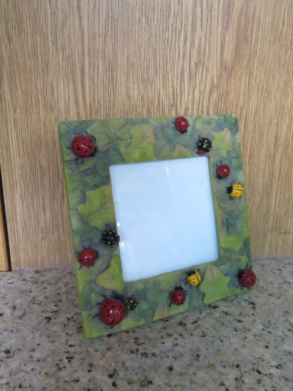 Ladybug Picture Frame 3D Effect Resin (K825)
